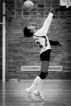 Bild 415 - Damen SH-Liga 3.Tag